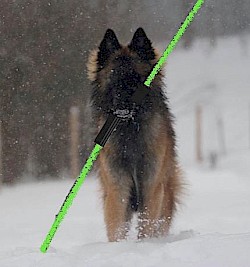 Yoda with light saber